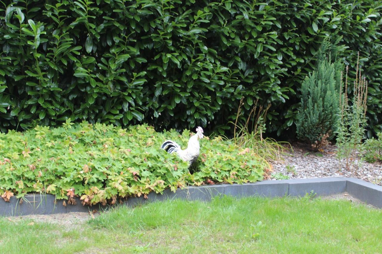 B&B Nieuwleusen Bagian luar foto